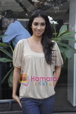 Preeti Desai unveil Shor in the City first look in  Le Soliel, Juhu, Mumbai on 23rd March 2011 (8).JPG
